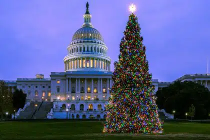 Capitol Christmas Tree to Begin Journey East on Sunday