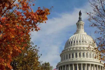 Fiscal Watchdog Says Recess Will Give Senate Time to Fix Flaw in Relief Funding
