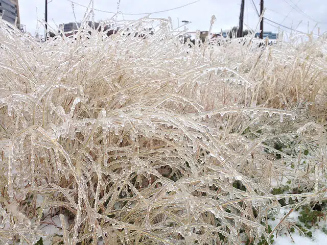 White House Pushing Utility and Energy Providers to Prevent Shut-Offs This Winter