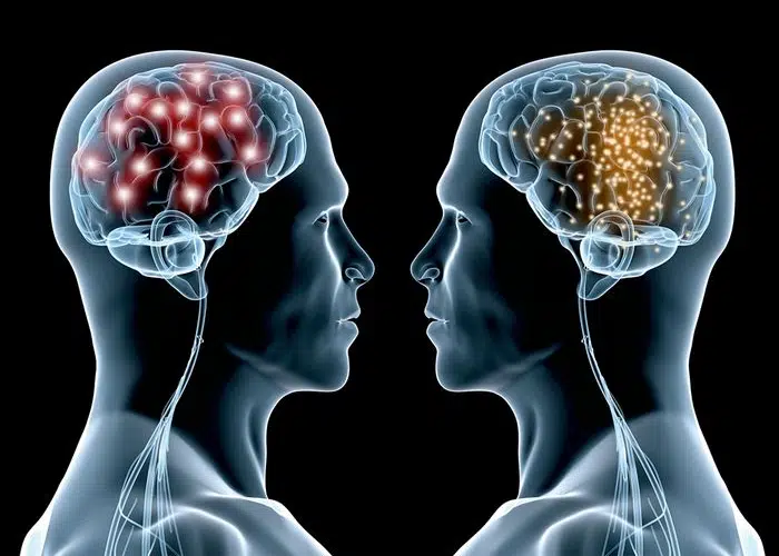 Drug Developer Begins Trial of Autism Treatment
