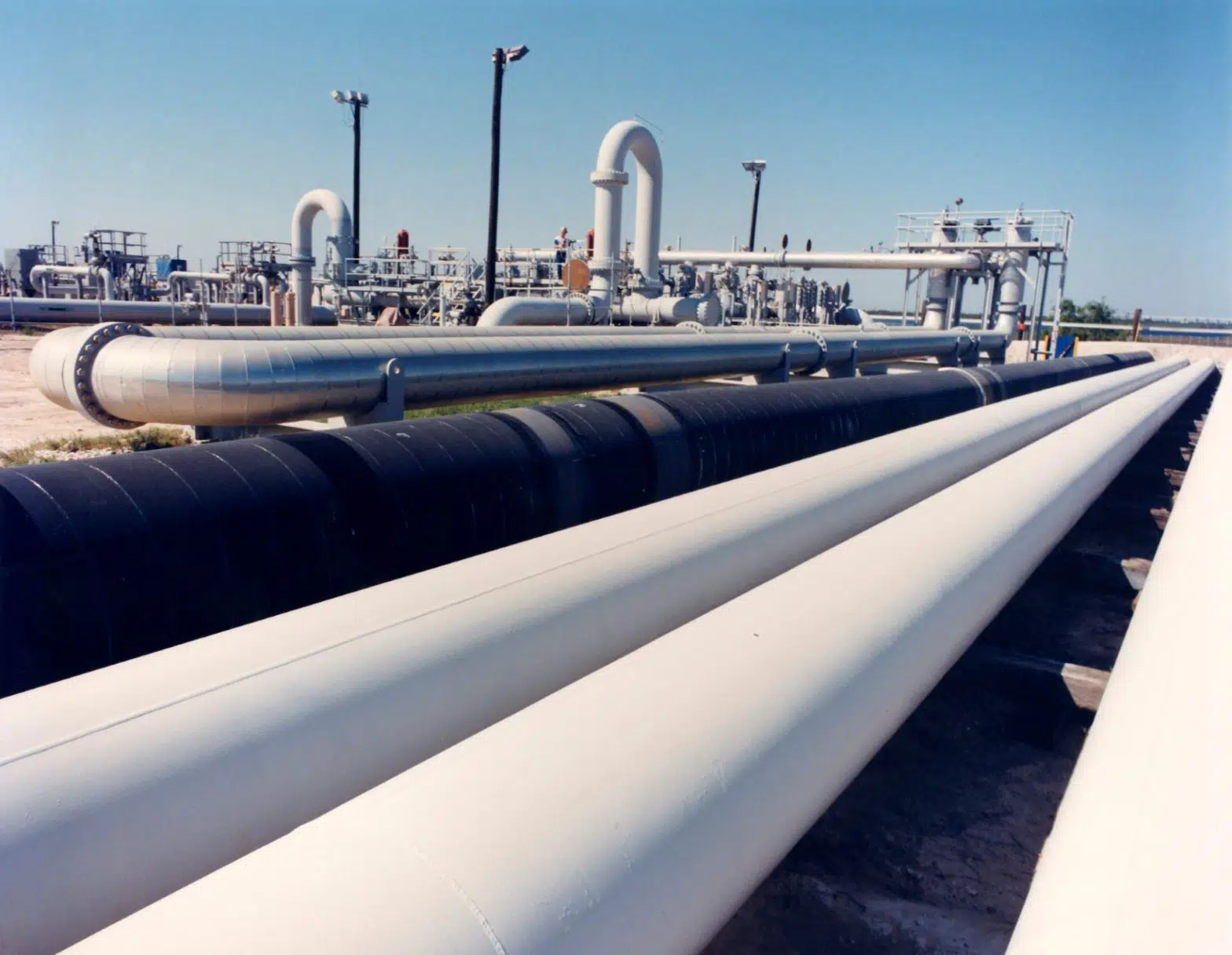 White House Plans Largest-Ever Oil Reserve Release to Combat Gas Prices