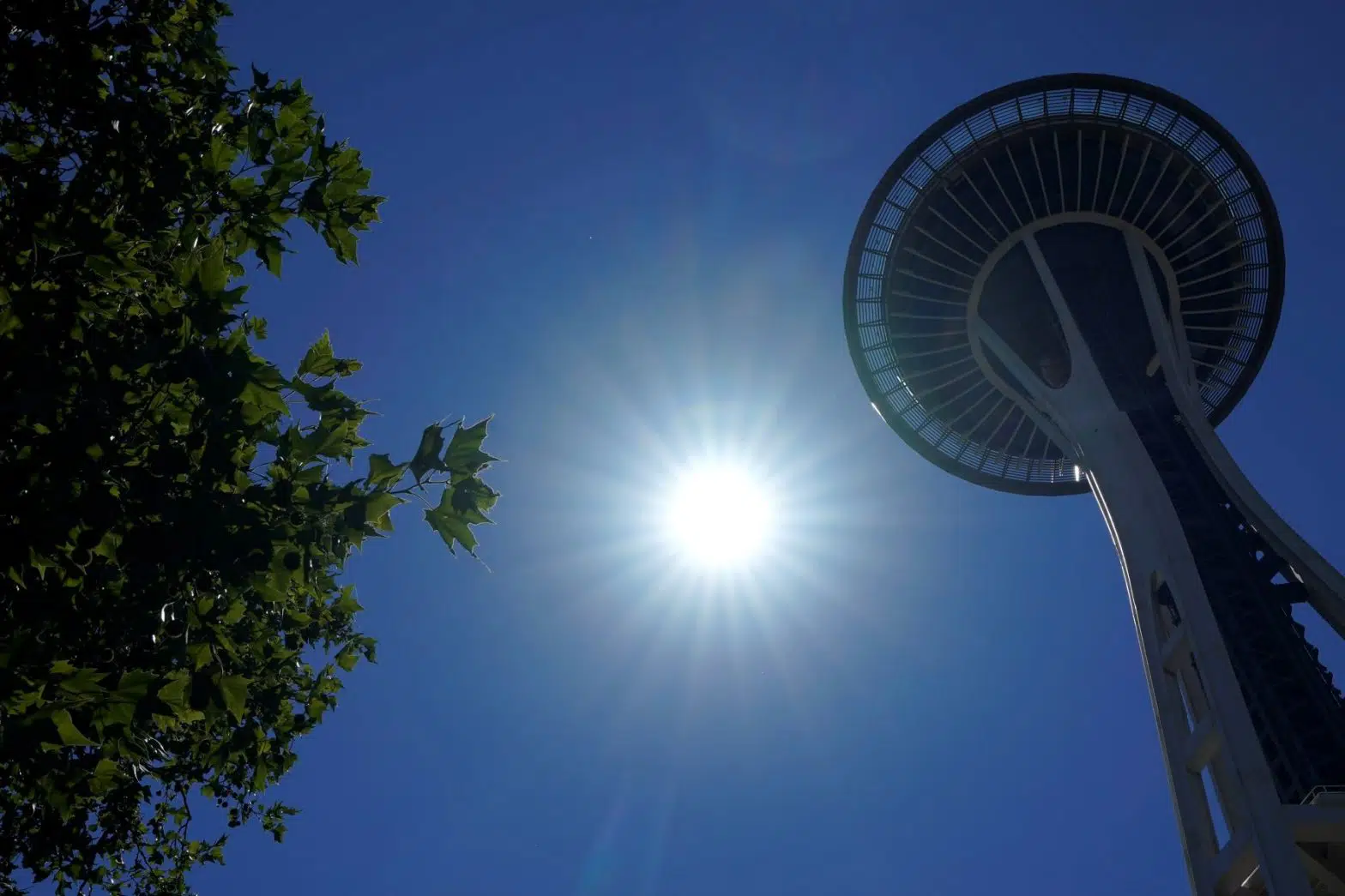 <strong></img>Environmentalists Suggest Nature’s Solutions to Reduce Global Warming’s Impact</strong>