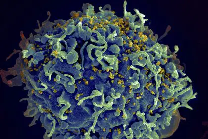 Climate Change May Increase Risk of New Infectious Diseases