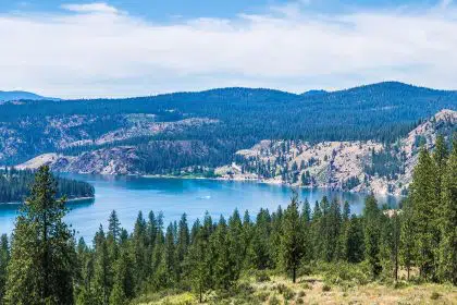 Washington State Unveils Latest Clean Energy Grants
