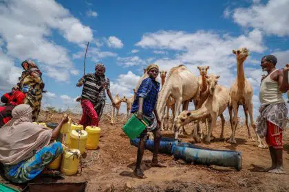 US Tackles Global Food Shortages