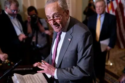 Schumer Says Fast Action on Gun Control Unlikely