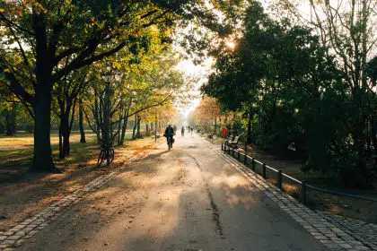 Thanks to Equity, Nation’s Capital Tops Annual Big City Park List