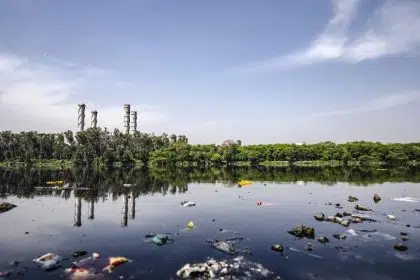 EPA Rule Reversal Gives States Power to Block Polluting Projects