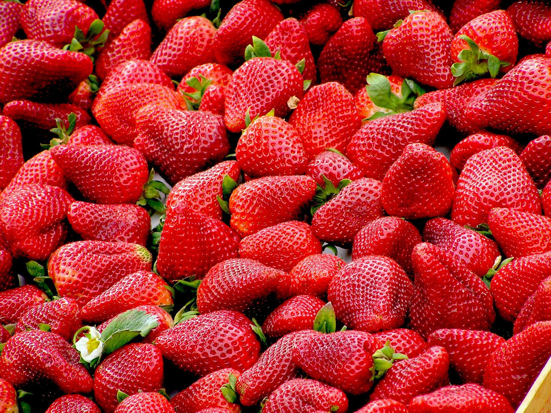 FDA Warns Against Consumption of Organic Strawberries After Outbreak of Hep A 