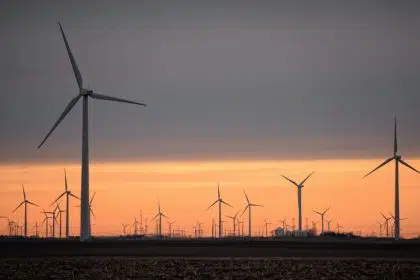 Wind Accounted for Half of All Renewable Energy Output in US in March