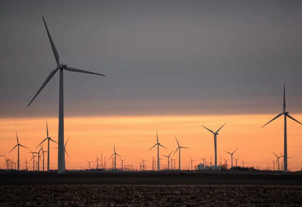 Wind Accounted for Half of All Renewable Energy Output in US in March