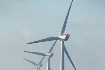 Feds Release Draft EIS for Proposed Wind Project Off New Jersey Coast