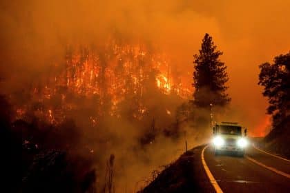 Wildfires Have Destroyed Almost All of California’s Forest Carbon Offsets, Study Says