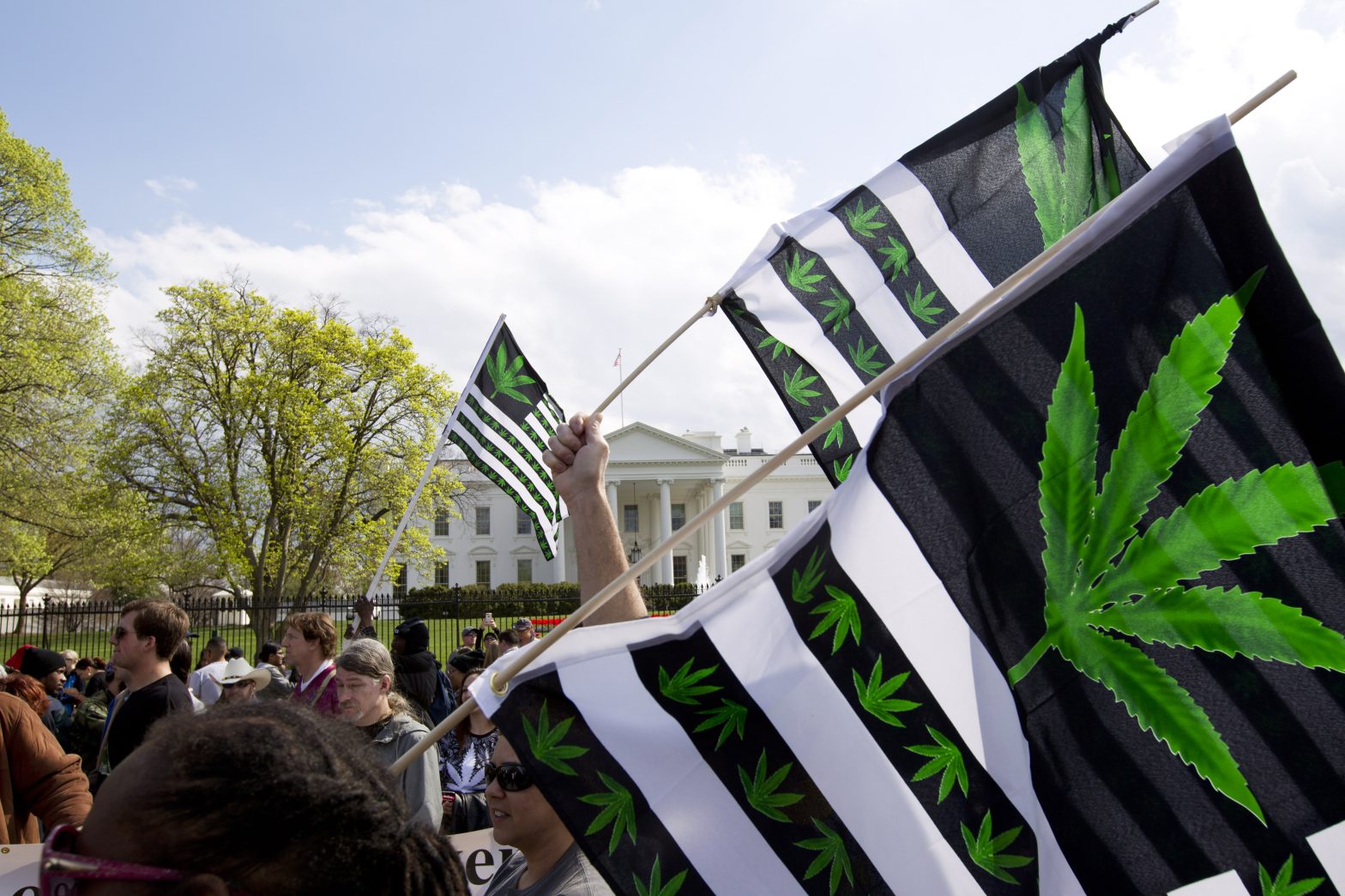 Midterm Elections Give Momentum to Marijuana Reform Laws
