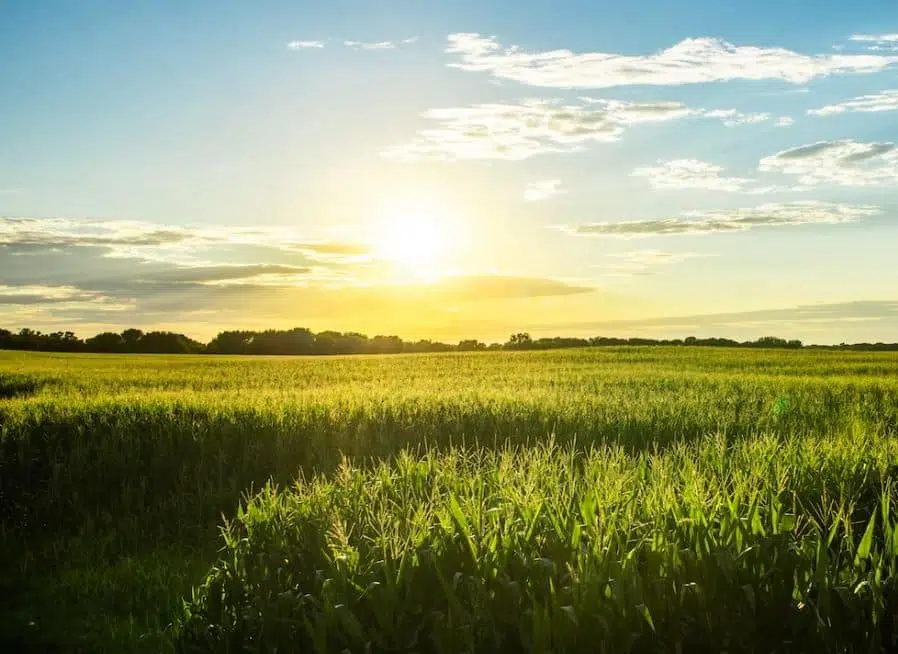 Iowa Ag Chief Touts Success of Farmer Mental Health Program