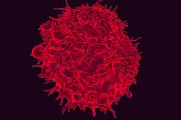Report Finds Cancer Deaths Continue Downward Trend