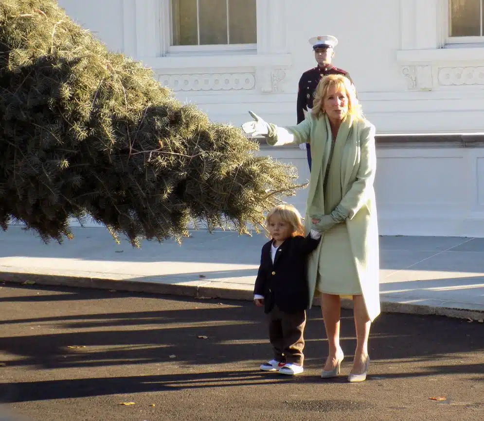First Lady Receives Official White House Christmas Tree