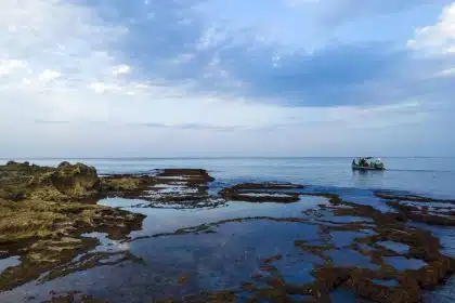 UN Summit: Don’t Repeat Mistakes on Nature, Scientists Warn