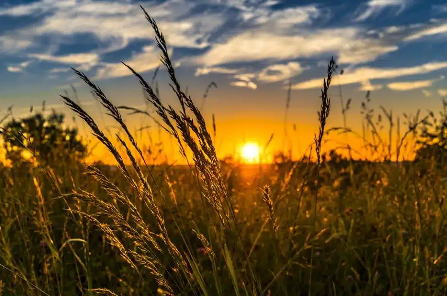 New Report Touts Potential of Hydrogen Produced by Organic Waste