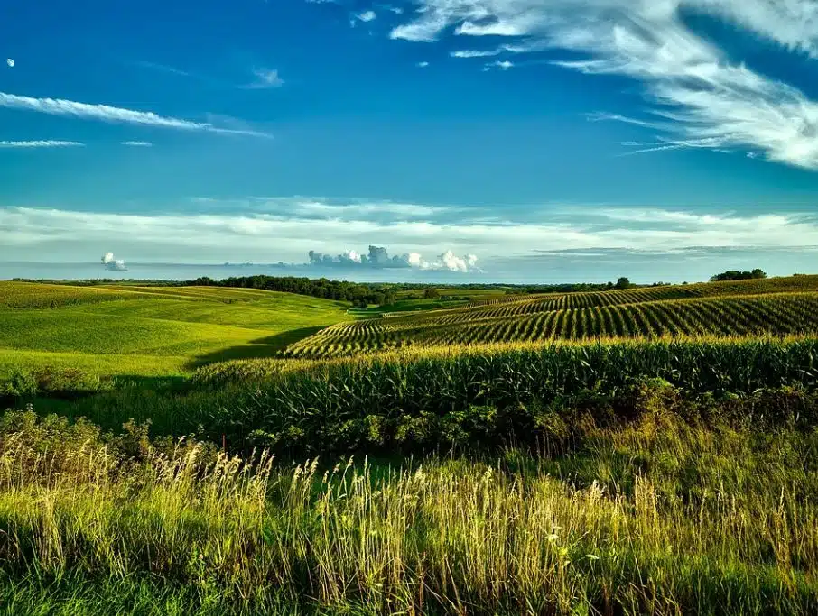 US Farm Exports Reached Record $196B in 2022