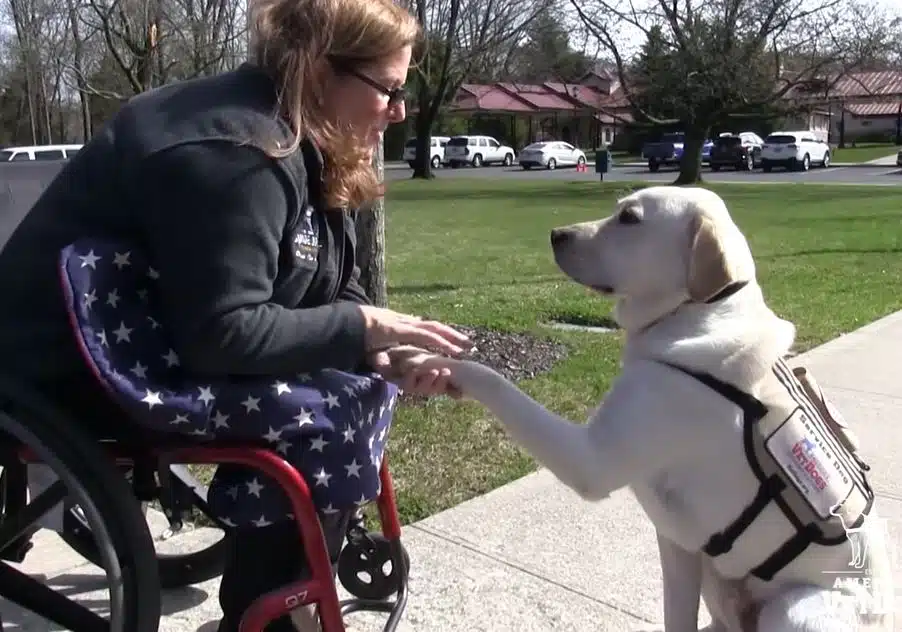 Bipartisan Bill to Benefit ‘VetDogs’ Reintroduced