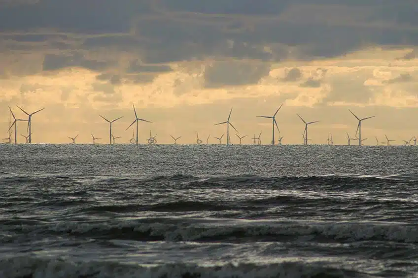 Shell to Play Key Role in New Wind Energy Initiative