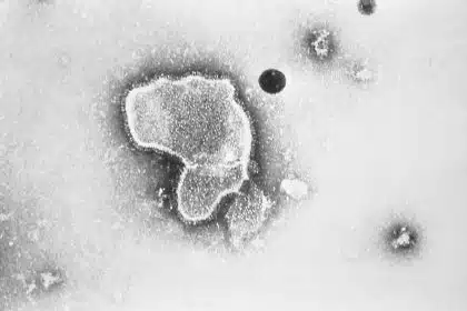 Advisory Panel Endorses Pfizer RSV Vaccine for Older Adults