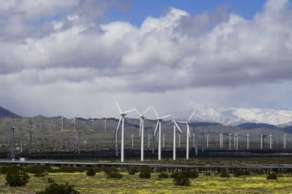 US Renewable Electricity Surpassed Coal in 2022