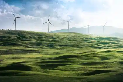 Cargill Opts Into Wind Energy Agreement in Illinois